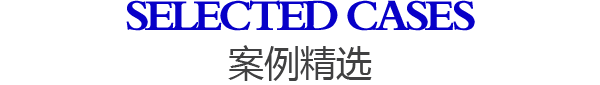 ѡ